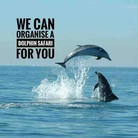 150m To Beach-cosy Studiohistoric Oldtown *